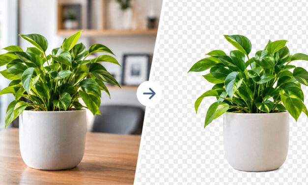 The science of image background removal: techniques and applications